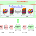 MobileViT: 端侧ViT